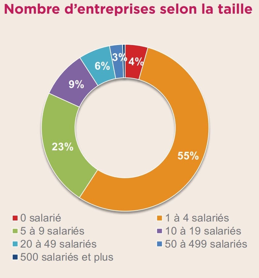 Branche 2020 Nombres dentreprises selon la taille 2 - UNPDM